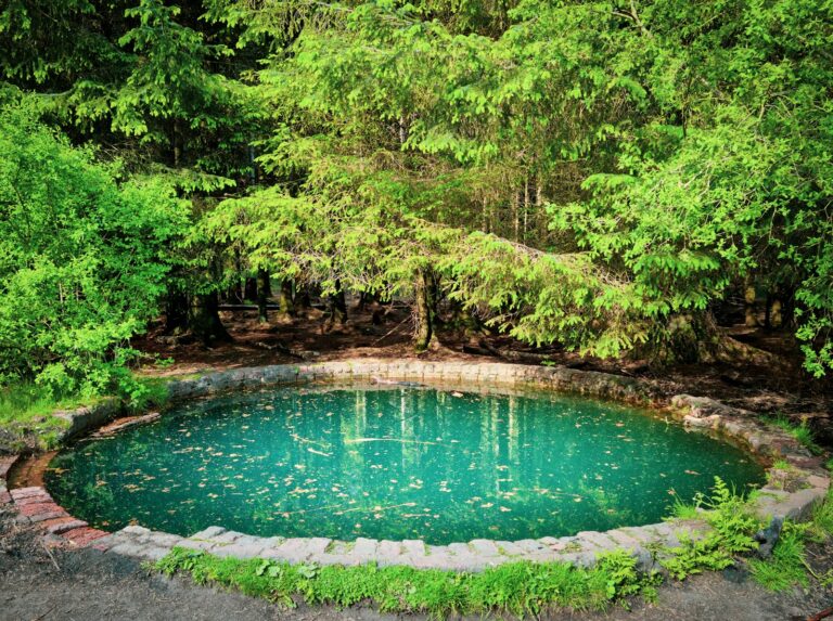 Prix d’une piscine naturelle: budgets réels, options et choix gagnants